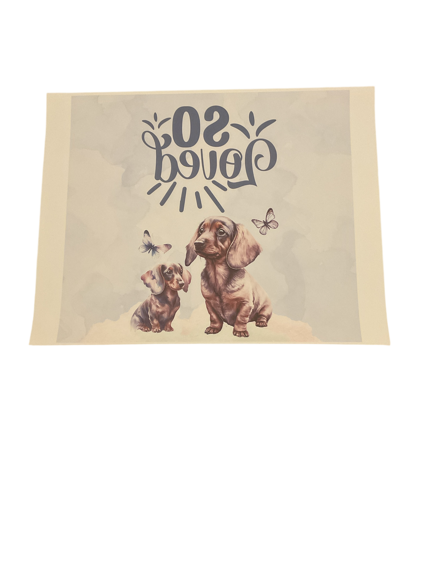 #293