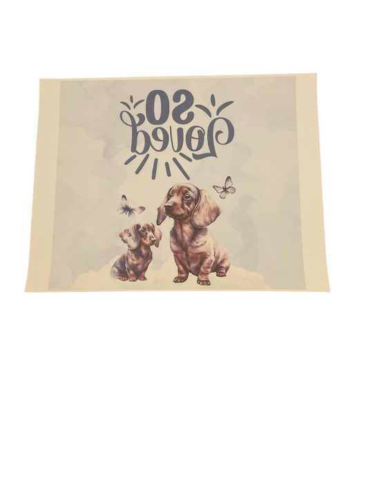 #293