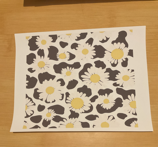 #243