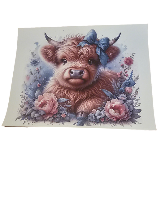 #284