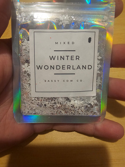 #614 Winter Wonder Land Chunky Glitter